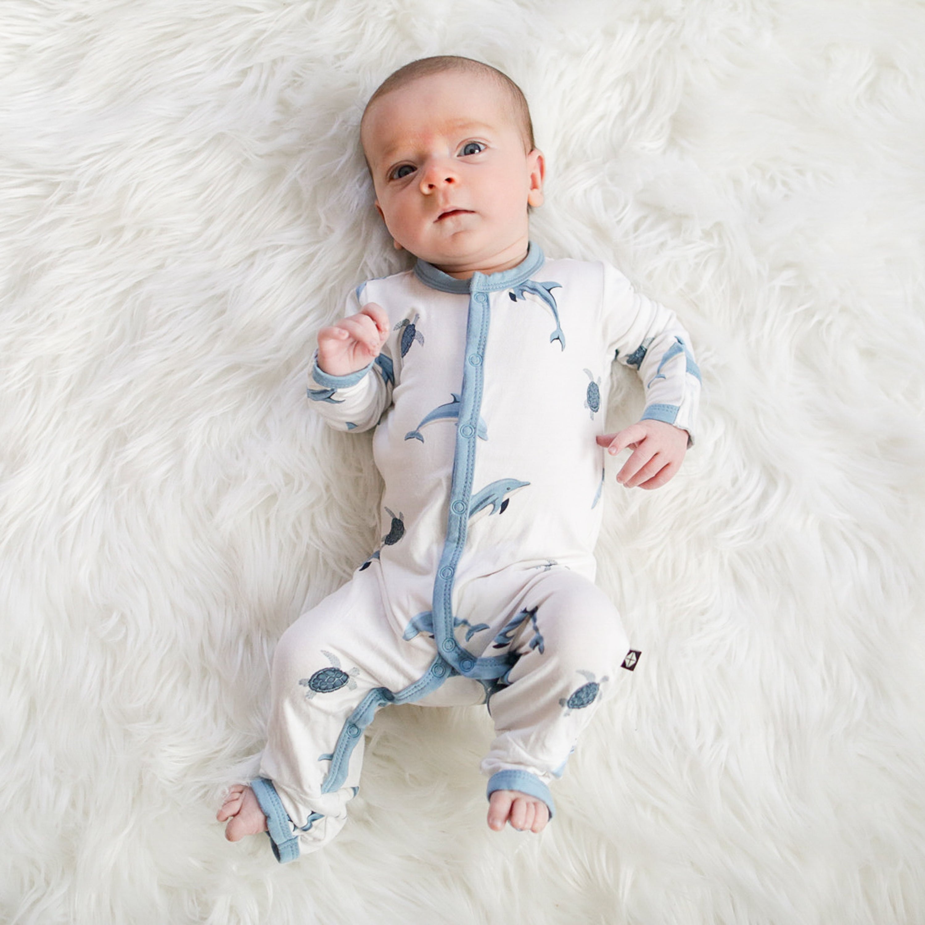 Romper in Dolphin – Kyte Baby
